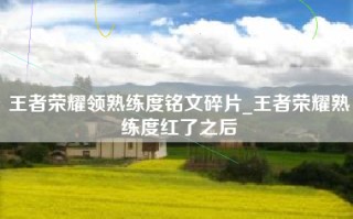 王者荣耀领熟练度铭文碎片_王者荣耀熟练度红了之后