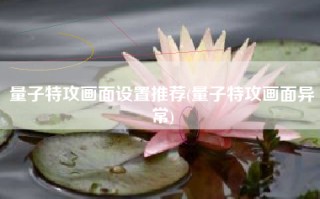 量子特攻画面设置推荐(量子特攻画面异常)
