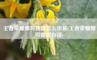 王者荣耀娜可露露怎么出装(王者荣耀娜可露露台词)