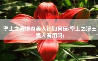 率土之滨惧内美人计如何玩(率土之滨王美人有用吗)