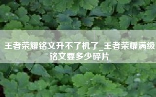 王者荣耀铭文升不了机了_王者荣耀满级铭文要多少碎片