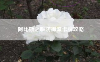 阿比斯之旅防御流卡牌攻略