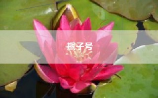 瓶子号