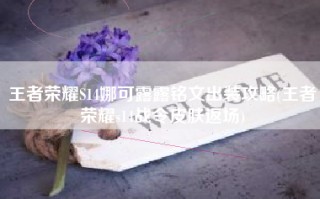 王者荣耀S14娜可露露铭文出装攻略(王者荣耀s14战令皮肤返场)