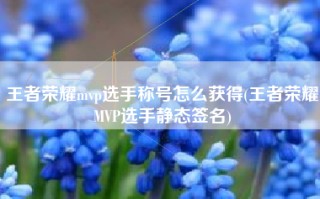 王者荣耀mvp选手称号怎么获得(王者荣耀MVP选手静态签名)