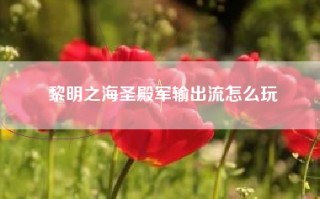 黎明之海圣殿军输出流怎么玩