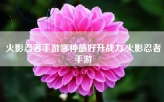 火影忍者手游哪种最好升战力,火影忍者手游 火影忍者手游哪种最好升战力,火影忍者手游
