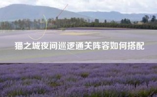 猫之城夜间巡逻通关阵容如何搭配