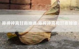 原神钟离甘雨抽谁(原神钟离和甘雨抽谁)