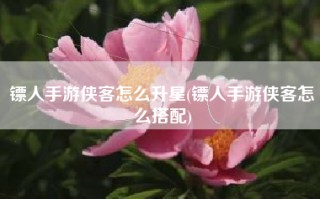 镖人手游侠客怎么升星(镖人手游侠客怎么搭配)