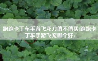 跑跑卡丁车手游飞龙刀值不值买(跑跑卡丁车手游飞宠哪个好)