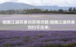 烟雨江湖铁帚功获得攻略(烟雨江湖铁帚功扫不出来)