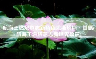 航海王燃烧意志新角色尤斯塔斯·基德(航海王燃烧意志新世界鲁兹)