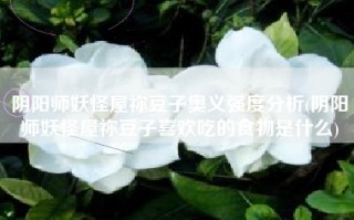 阴阳师妖怪屋祢豆子奥义强度分析(阴阳师妖怪屋祢豆子喜欢吃的食物是什么)