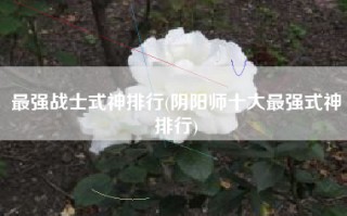 最强战士式神排行(阴阳师十大最强式神排行)