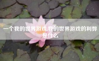 一个我的世界游戏,我的世界游戏的利弊是什么