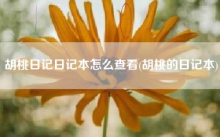 胡桃日记日记本怎么查看(胡桃的日记本)