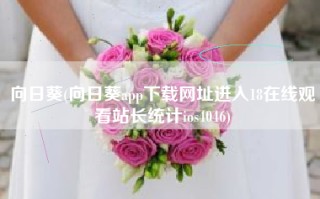 向日葵(向日葵app下载网址进入18在线观看站长统计ios4046)