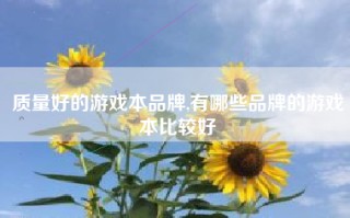 质量好的游戏本品牌,有哪些品牌的游戏本比较好