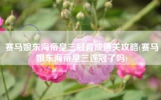 赛马娘东海帝皇三冠育成通关攻略(赛马娘东海帝皇三连冠了吗)