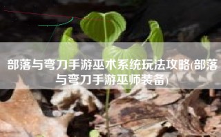 部落与弯刀手游巫术系统玩法攻略(部落与弯刀手游巫师装备)