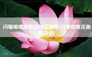 闪耀暖暖服装店购买推荐(闪耀暖暖花盈服装店)