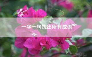 一字一句找出所有成语