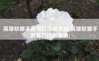 英雄联盟手游寡妇出装思路(英雄联盟手游寡妇技能加点)