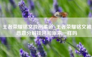 王者荣耀铭文找回渠道_王者荣耀铭文被恶意分解找回和原来一样吗