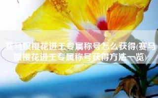 赛马娘樱花进王专属称号怎么获得(赛马娘樱花进王专属称号获得方法一览)