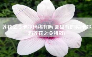 莲花之令卡尔玛稀有吗 哪里有的买(卡尔玛莲花之令特效)