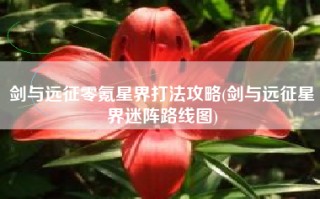 剑与远征零氪星界打法攻略(剑与远征星界迷阵路线图)