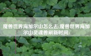 魔兽世界海加尔山怎么去(魔兽世界海加尔山灵魂兽刷新时间)