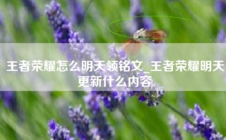 王者荣耀怎么明天领铭文_王者荣耀明天更新什么内容