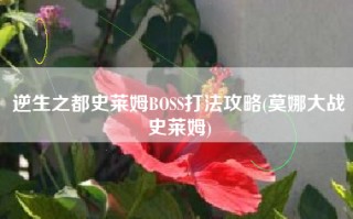 逆生之都史莱姆BOSS打法攻略(莫娜大战史莱姆)
