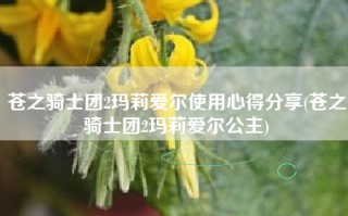 苍之骑士团2玛莉爱尔使用心得分享(苍之骑士团2玛莉爱尔公主)