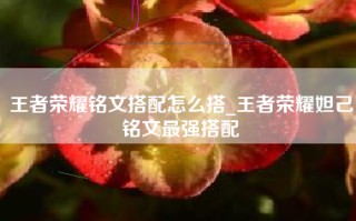 王者荣耀铭文搭配怎么搭_王者荣耀妲己铭文最强搭配