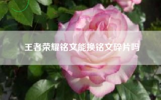 王者荣耀铭文能换铭文碎片吗
