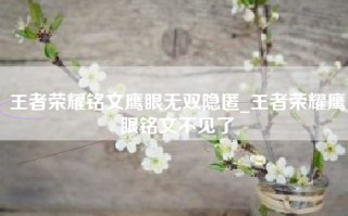 王者荣耀铭文鹰眼无双隐匿_王者荣耀鹰眼铭文不见了