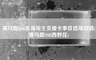 赛马娘SSR东海帝王支援卡事件选项攻略(赛马娘SSR西野花)