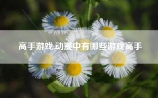 高手游戏,动漫中有哪些游戏高手