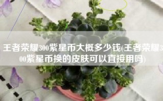 王者荣耀300紫星币大概多少钱(王者荣耀300紫星币换的皮肤可以直接用吗)