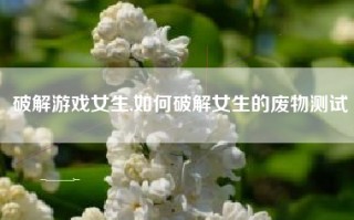 破解游戏女生,如何破解女生的废物测试