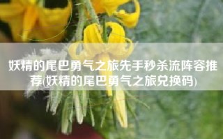 妖精的尾巴勇气之旅先手秒杀流阵容推荐(妖精的尾巴勇气之旅兑换码)