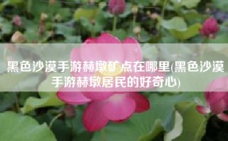 黑色沙漠手游赫墩矿点在哪里(黑色沙漠手游赫墩居民的好奇心)