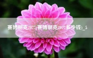 赛博朋克2077(赛博朋克2077多少钱)_5