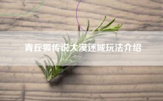 青丘狐传说大漠迷城玩法介绍