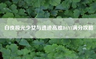 白夜极光少女与遗迹高难DAY3满分攻略