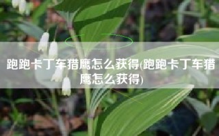 跑跑卡丁车猎鹰怎么获得(跑跑卡丁车猎鹰怎么获得)