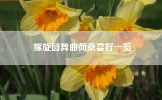 螺旋圆舞曲荷桑喜好一览